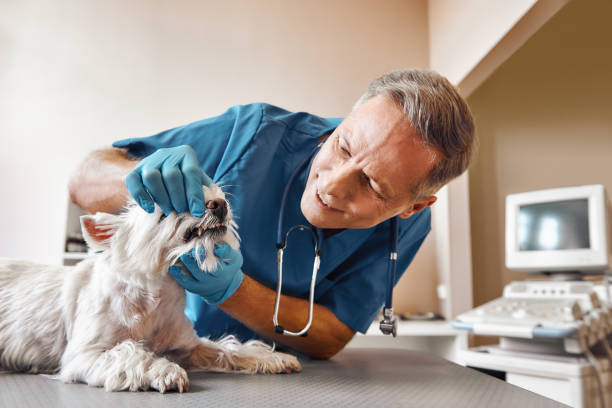 Best Same-Day Emergency Dentist in Avenue B And C, AZ